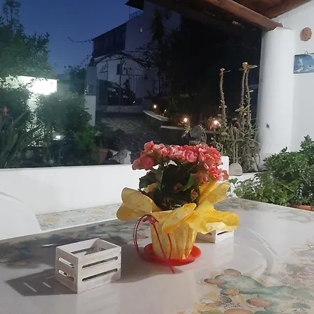 Angelina B&B 리파리